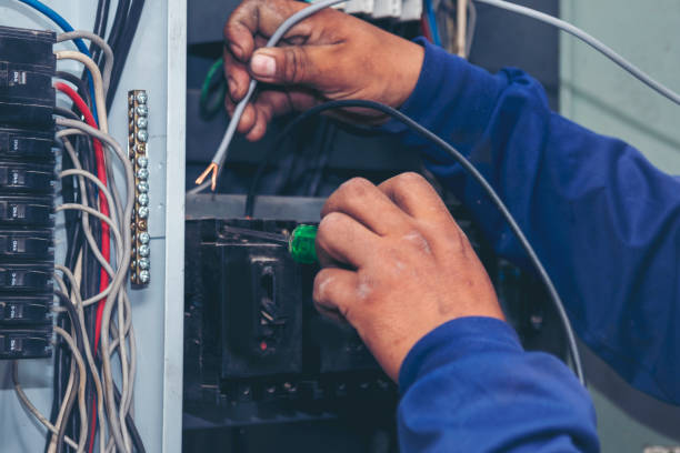 Best Electric Panel Repair  in Amherst, WI